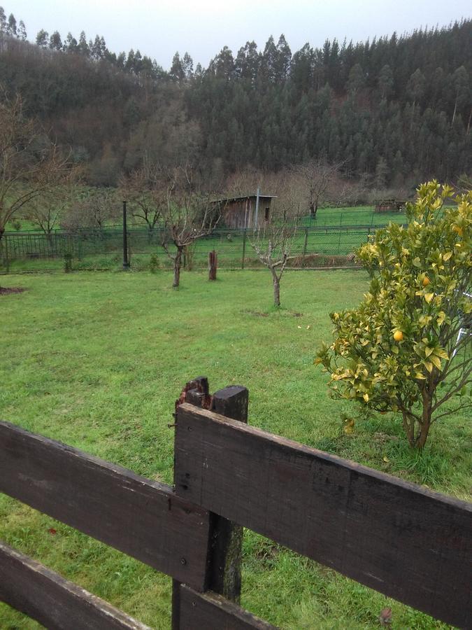 Hotel Rural El Candano 普拉维亚 外观 照片